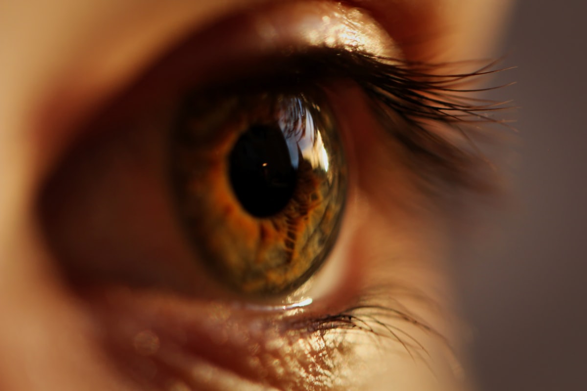 Parpadeo consciente y lubricación ocular